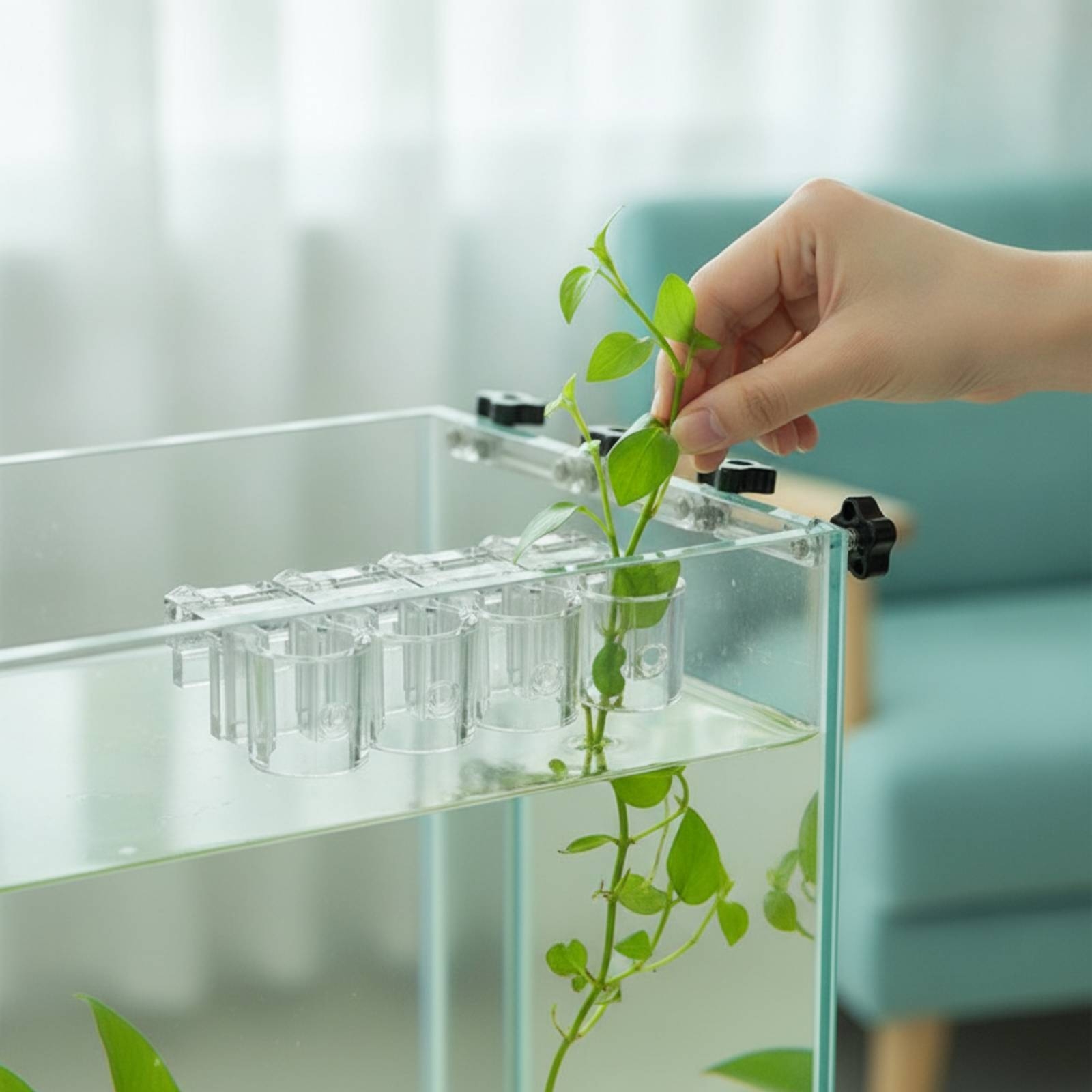 Aquarium Planted Aquarium - 6 stuks Aquarium Planter Clear Hydroponic