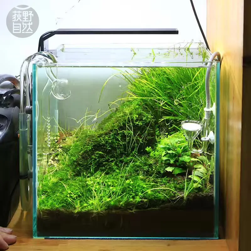 Planted Aquarium Mini - Spiritedos C-serie ADA-stijl Plant Grow LED-licht