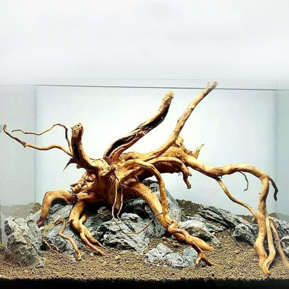 Aquarium Planted Tree - Natuurlijke Boomstam Aquarium Decoratie Hout Kunstwerk