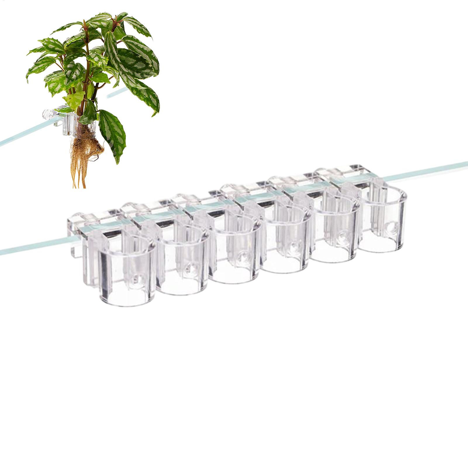 Planted Aquarium Mini - Mini Aquarium Plantenbak 6 Stuks Aquarium