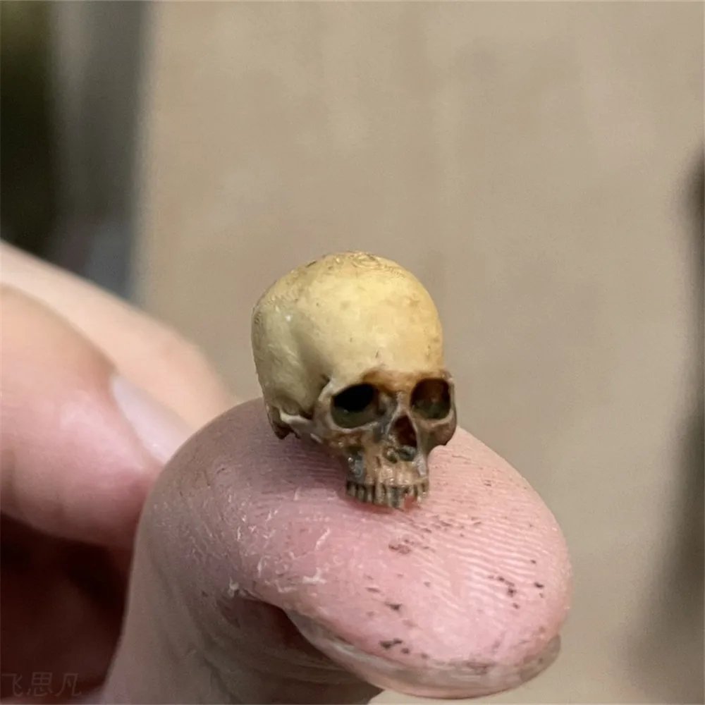 Aquarium Plant Nursery - Mini Skull Hoge kwaliteit miniatuurmodel voor