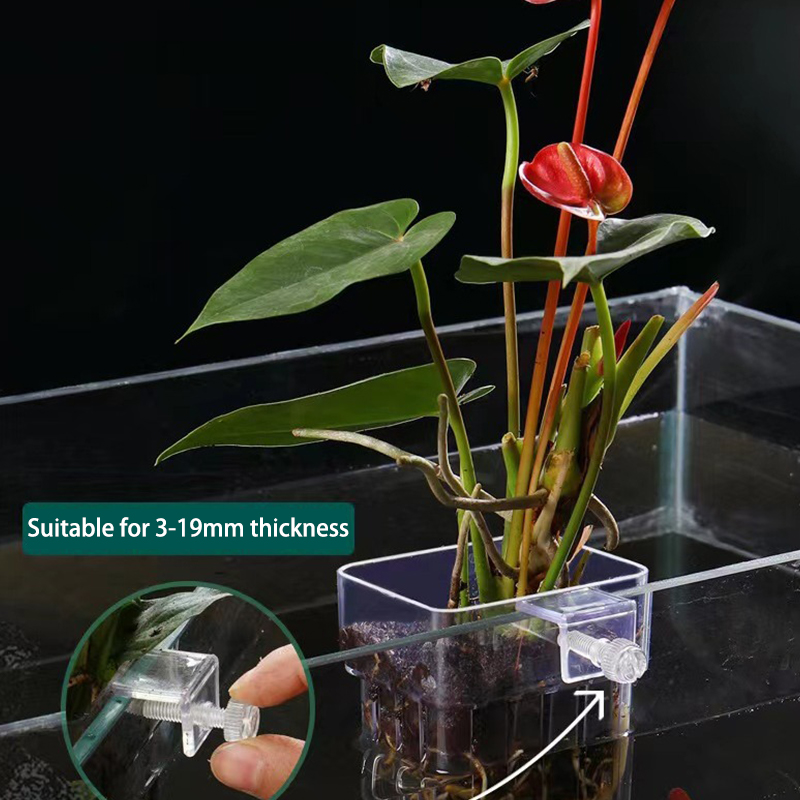 Aquarium Plant Grass - Multifunctionele Vis Aquarium Watergras Aanplant Cup