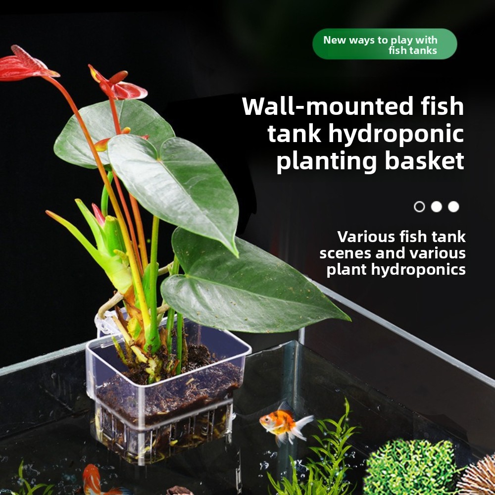Aquarium Plant Grass - Aquarium Hydroponische Plantenmand Visbeluchting Waterplantenbak Visbak