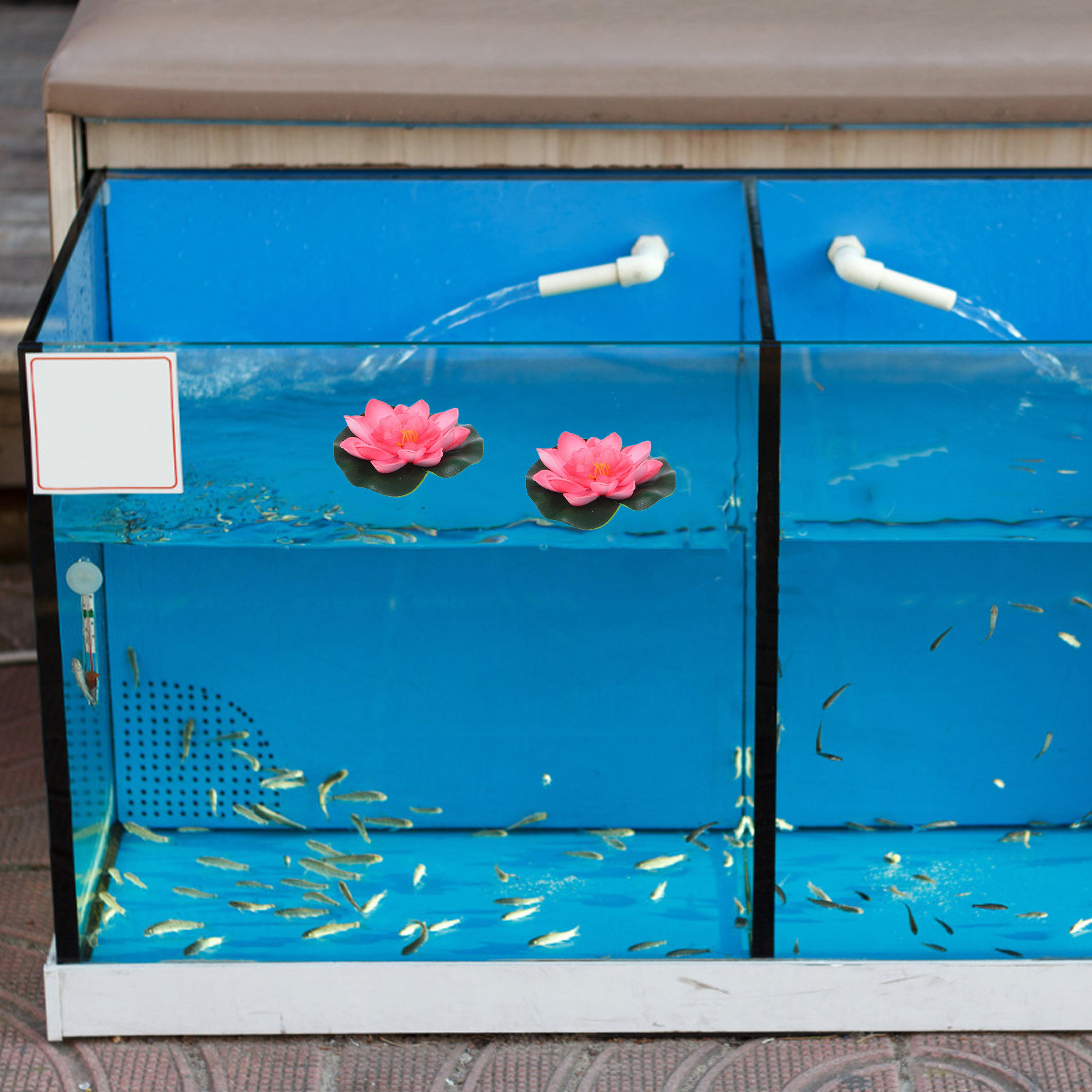 12 stuks kunstmatige drijvende - Aquarium Planted Aquarium recensie en prijs