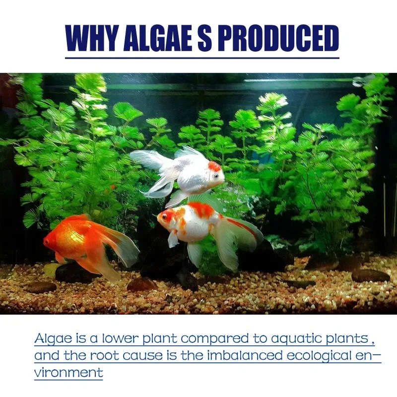 50g Hoogwaardig algemiddel teg - Planted Aquarium Algae recensie en prijs