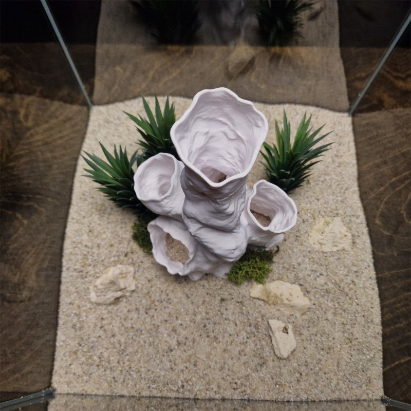 Hete Aanbieding 3D Geprint Kor - Aquarium Plants For Sale recensie en prijs