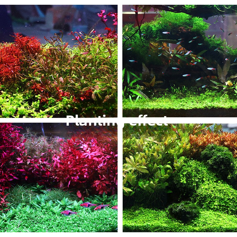 SYSENCIAGA beplant aquariumsub - Aquarium Plant Fertilizer recensie en prijs