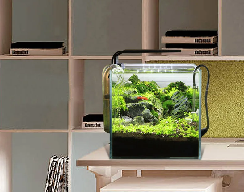 Spiritedos C-serie ADA-stijl P - Planted Aquarium Mini recensie en prijs