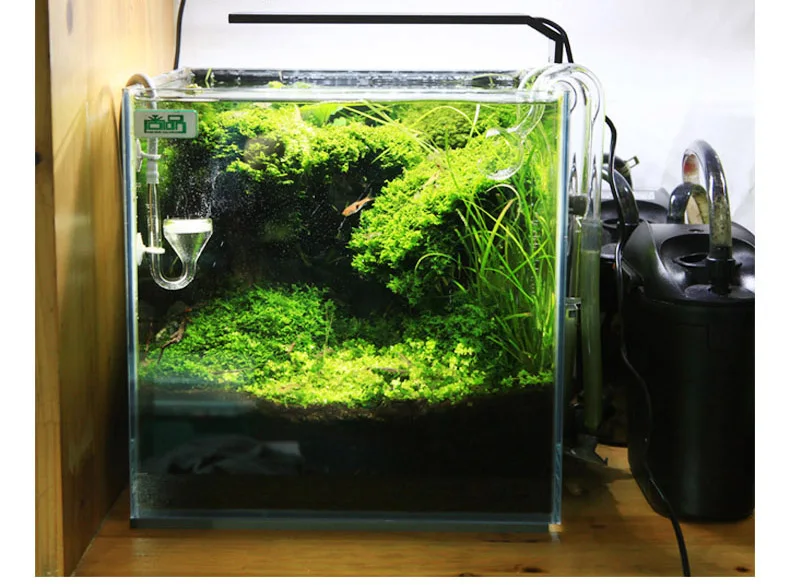 Spiritedos C-serie ADA-stijl P - Planted Aquarium Mini recensie en prijs