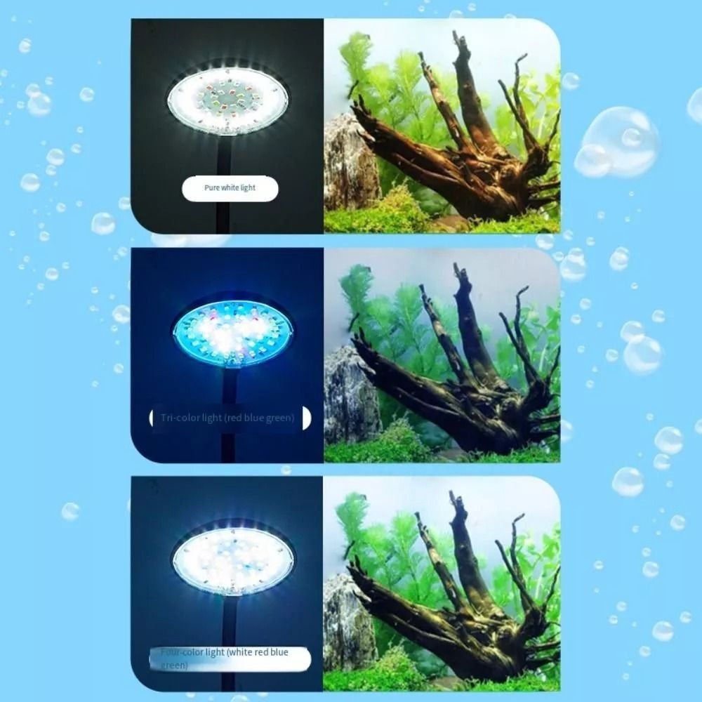 Nieuwe Mini Aquarium Clip Lamp - Planted Aquarium Mini recensie en prijs