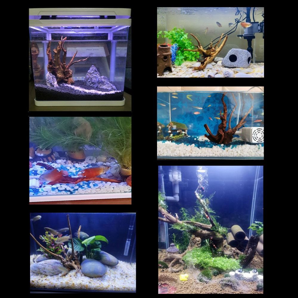 Natuurlijke Boomstam Aquarium  - Aquarium Planted Tree recensie en prijs