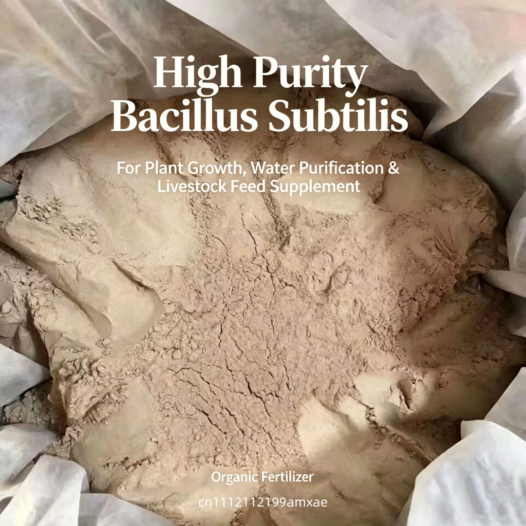 Hoogactief Bacillus Subtilis p - Aquarium Plant Fertilizer recensie en prijs