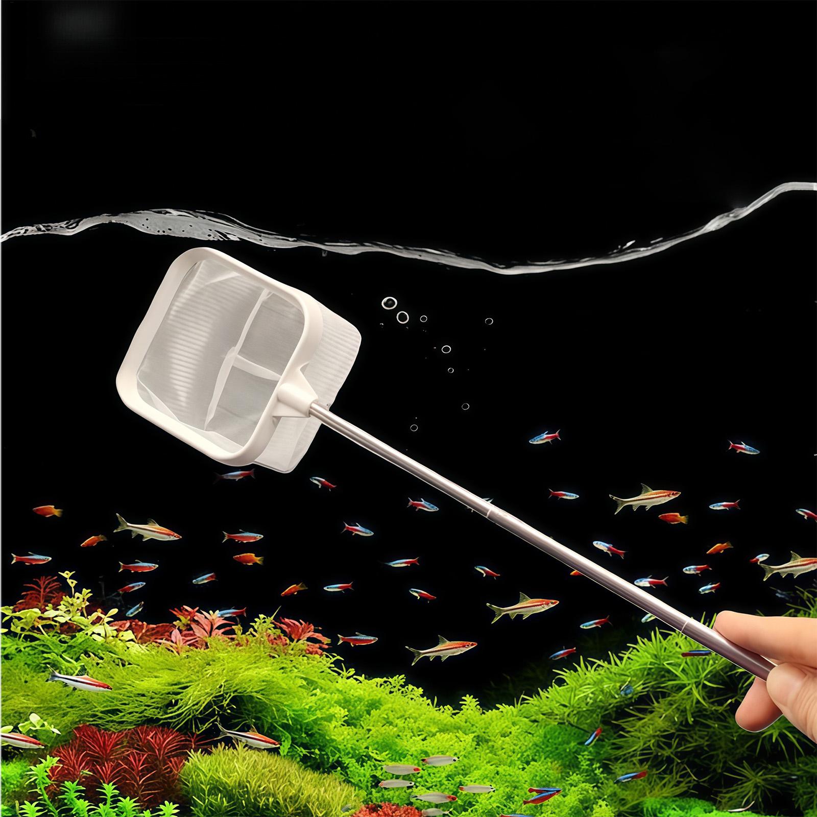 Uitschuifbare lange steel fijn - Aquarium Planted Tree recensie en prijs