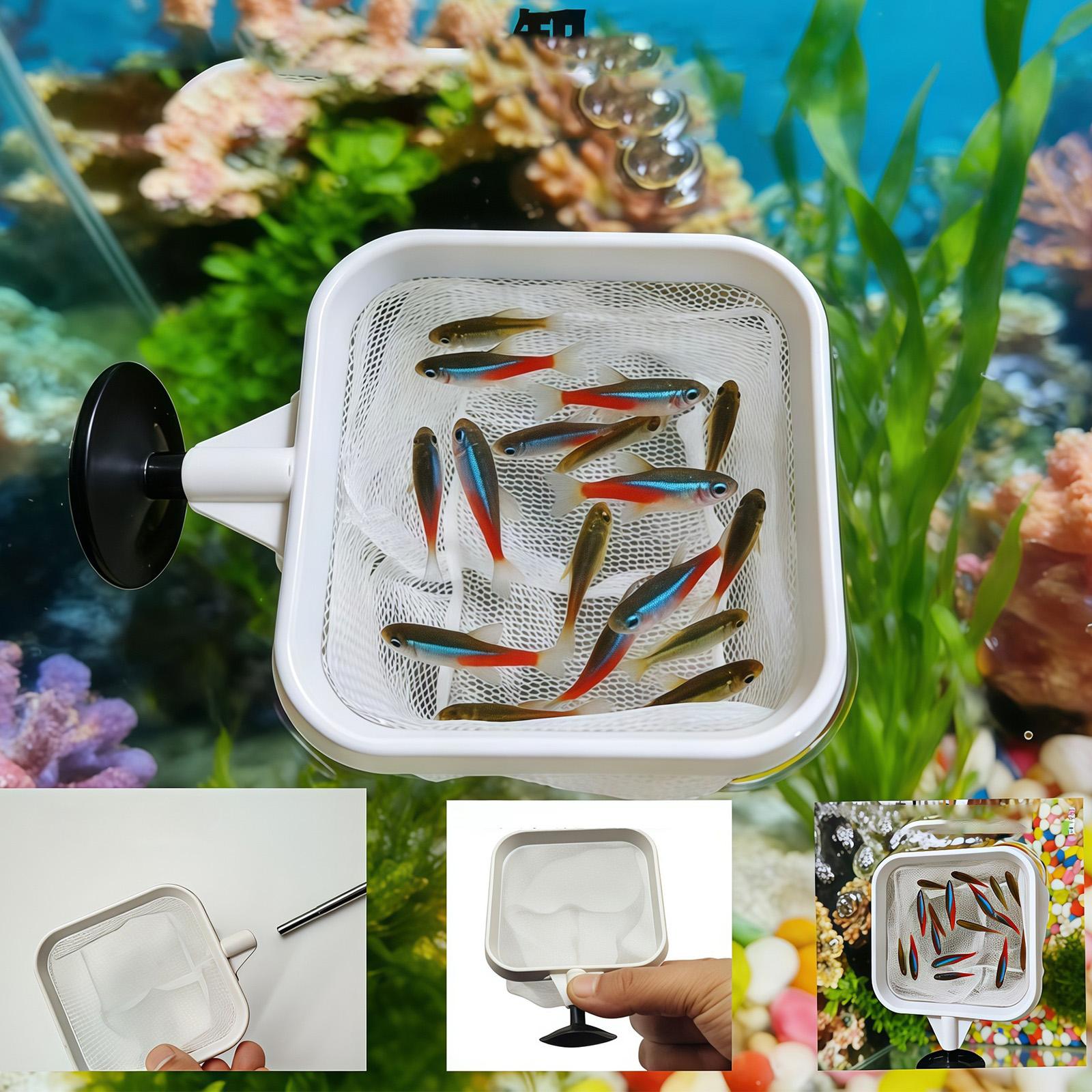 Uitschuifbare lange steel fijn - Aquarium Planted Tree recensie en prijs