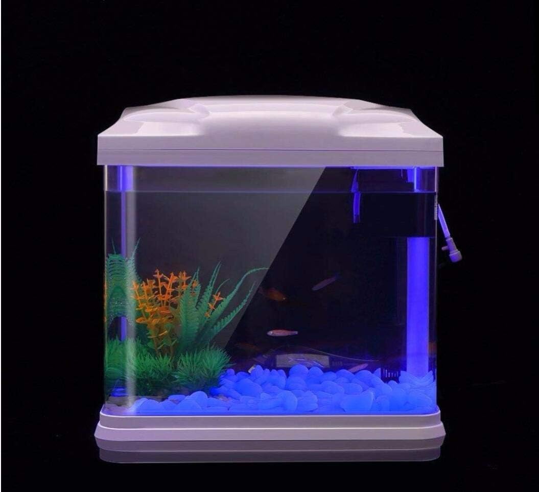 Aquarium Rotsen Glow Blue Kiez - Aquarium Plant Nursery recensie en prijs
