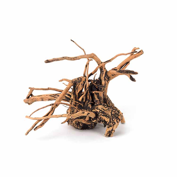 Groothandel hete verkoop natuu - Aquarium Plants For Sale recensie en prijs