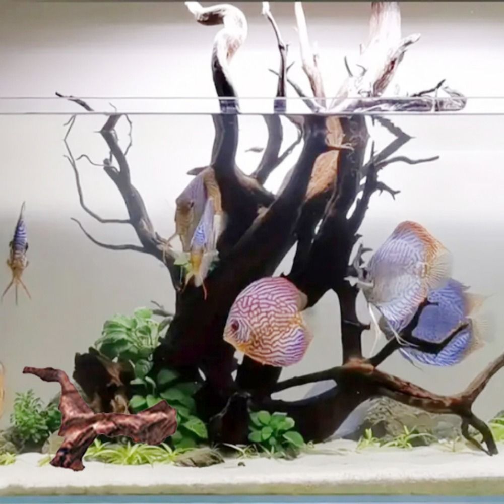 Creatief gevormd koraalhout, n - Aquarium Planted Tree recensie en prijs