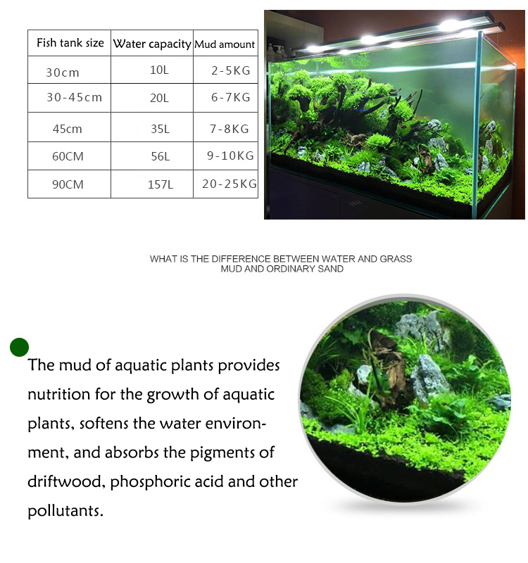 Aquarium Plant Zaden Bodem Fis - Planted Aquarium Accessories recensie en prijs