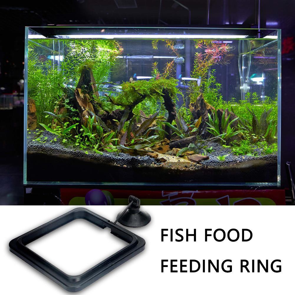 Drijvende voedingsring voor aq - Aquarium Planted Aquarium recensie en prijs