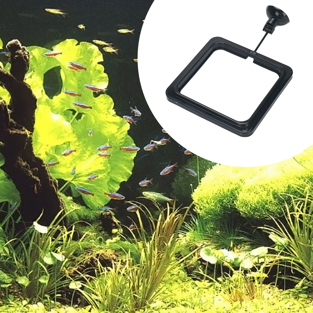 Drijvende voedingsring voor aq - Aquarium Planted Aquarium recensie en prijs