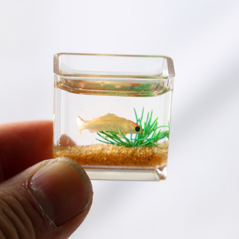 1Pc 1:12 Mini Poppenhuis Simul - Planted Aquarium Photos recensie en prijs