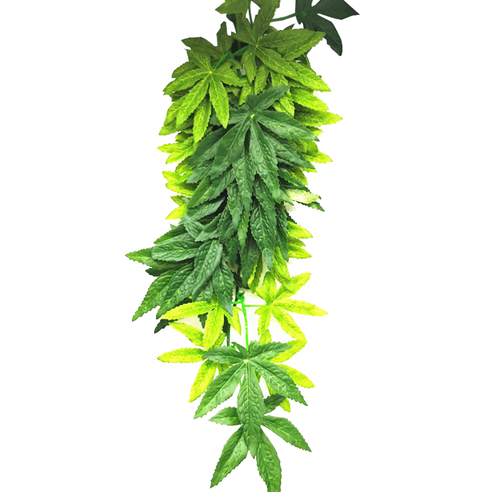 HOT KOOP 30/40/50 CM Aquarium  - Aquarium Plants For Sale recensie en prijs