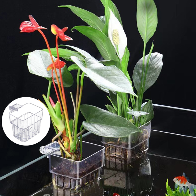 Multifunctionele Vis Aquarium  - Aquarium Plant Grass recensie en prijs