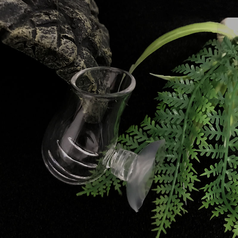Aquarium Decoratie Opknoping A - Planted Aquarium Mini recensie en prijs