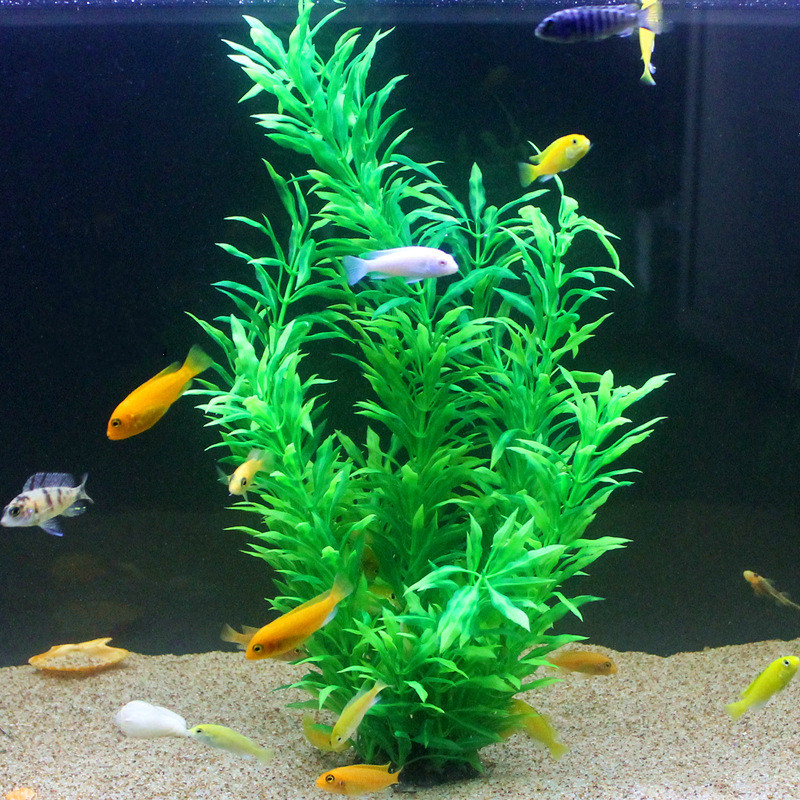 50CM Kunstmatige Aquarium Zeld - Aquarium Plant Nursery recensie en prijs