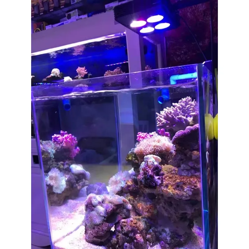 Gako A052 52w Hot Sale Aquariu - Aquarium Plants For Sale recensie en prijs