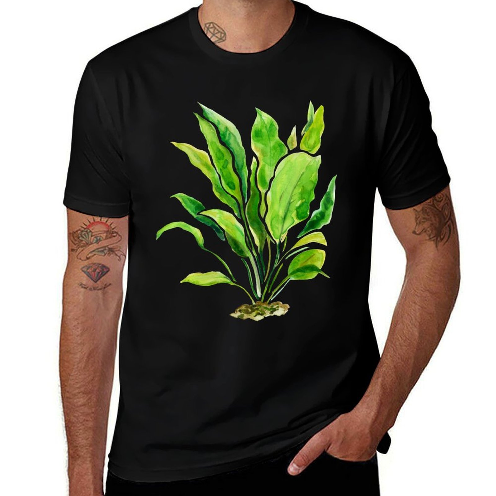 Aquarium Plants Series Amazon  - Planted Aquarium Basics recensie en prijs
