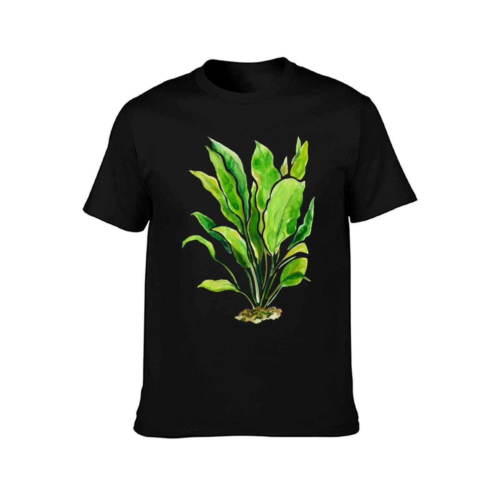 Aquarium Plants Series Amazon  - Planted Aquarium Basics recensie en prijs