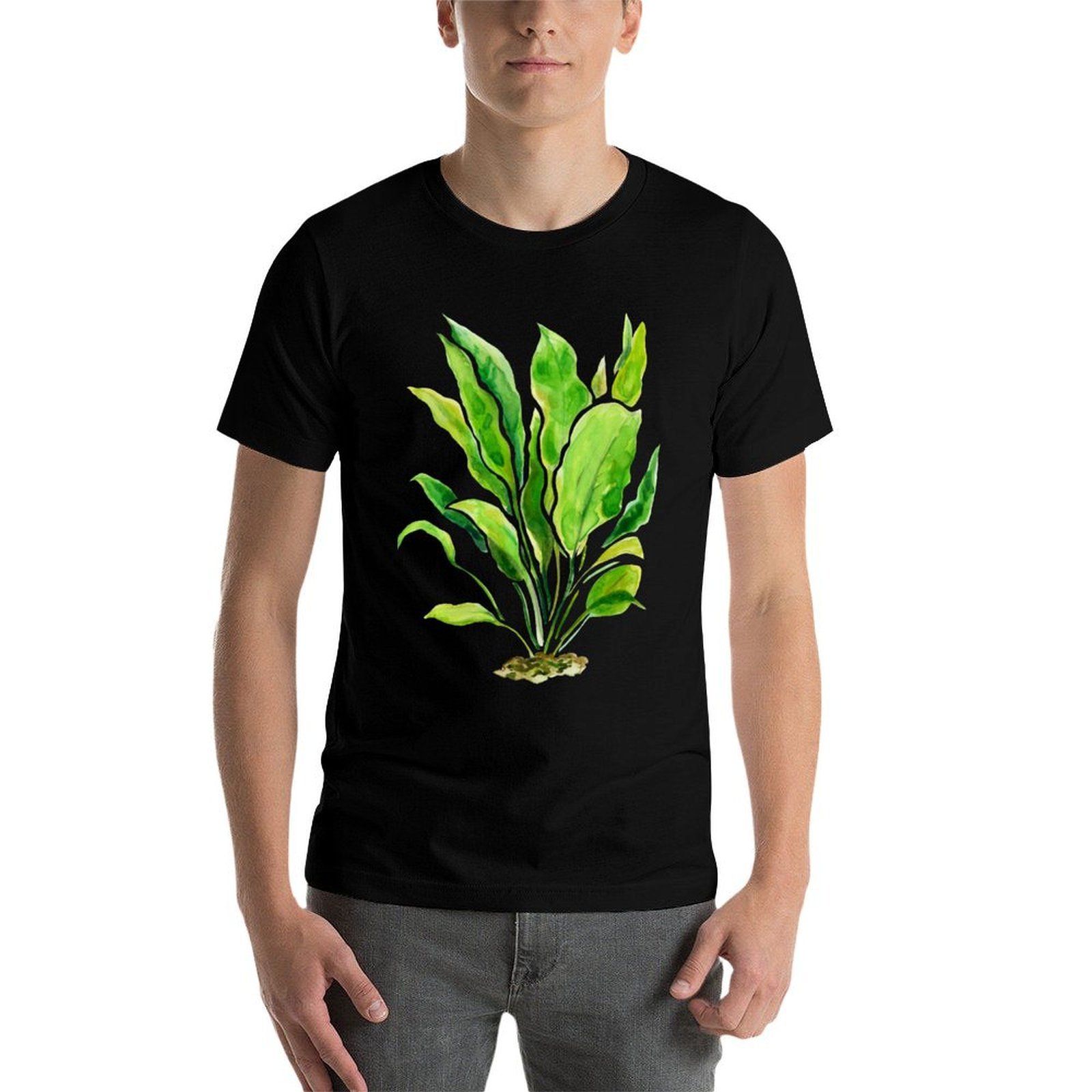 Aquarium Plants Series Amazon  - Planted Aquarium Basics recensie en prijs