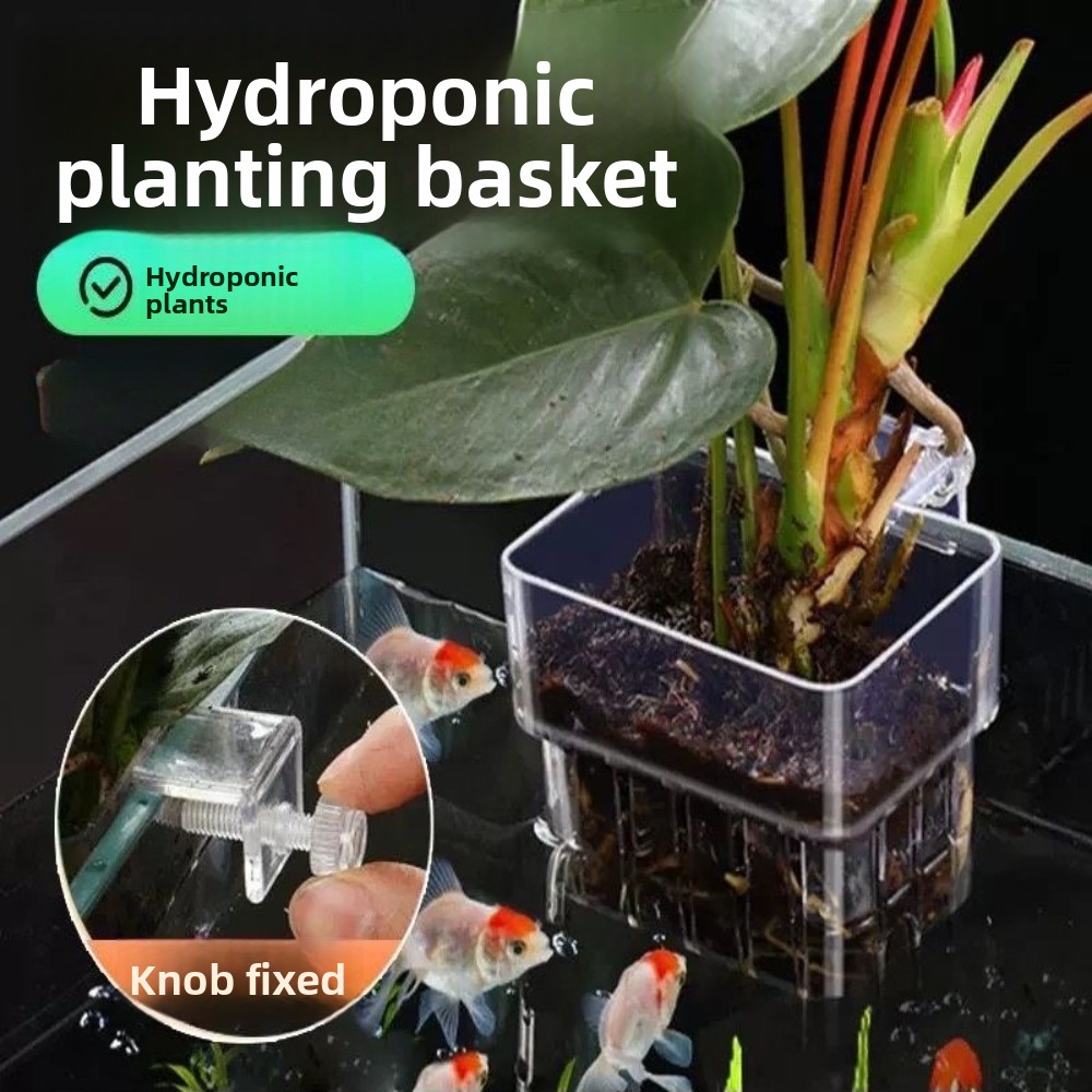 Aquarium Hydroponische Planten - Aquarium Plant Grass recensie en prijs