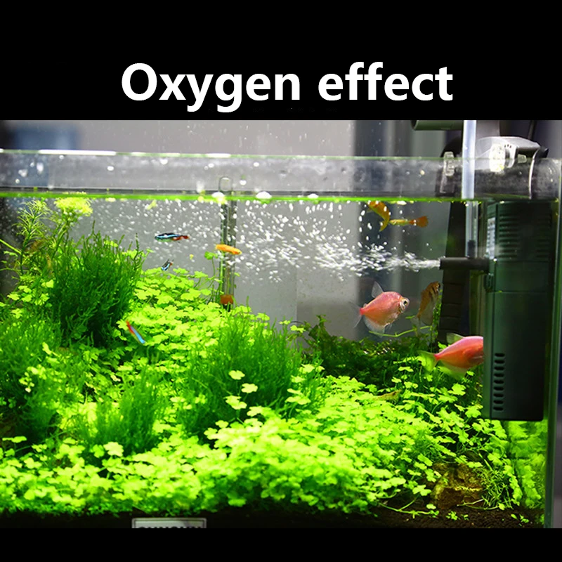 Sunsun Mini Nano 111b 311b 611 - Planted Aquarium Mini recensie en prijs