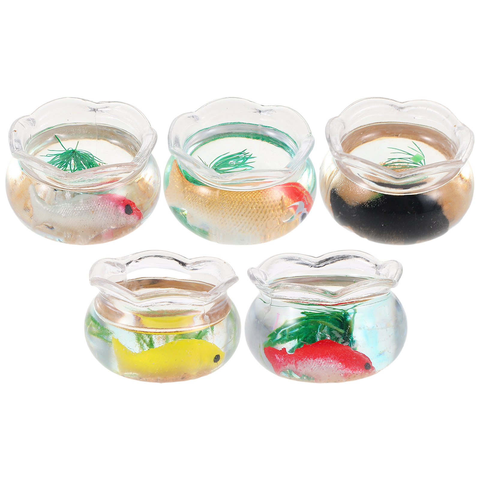 5-delige mini-viskom, kleine r - Aquarium Planted Aquarium recensie en prijs